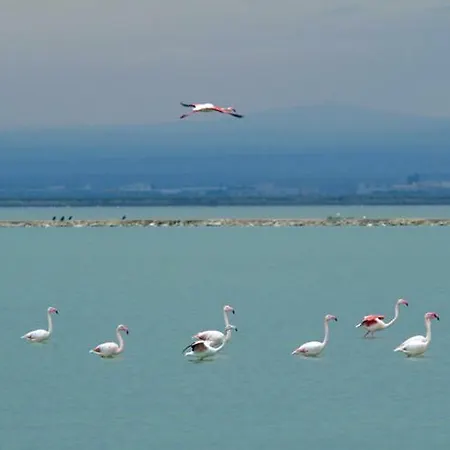 La Casa Di Nonna Francesca Appartement *
