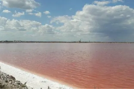 La Casa Di Nonna Francesca Appartement San Ferdinando di Puglia